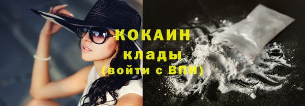твердый Слюдянка