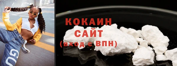 твердый Слюдянка