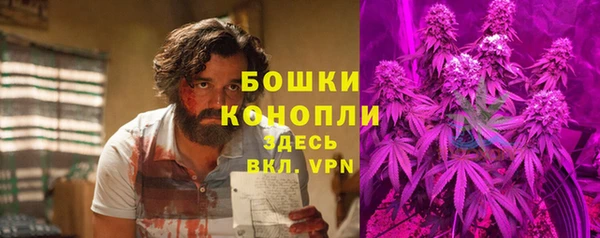 твердый Слюдянка
